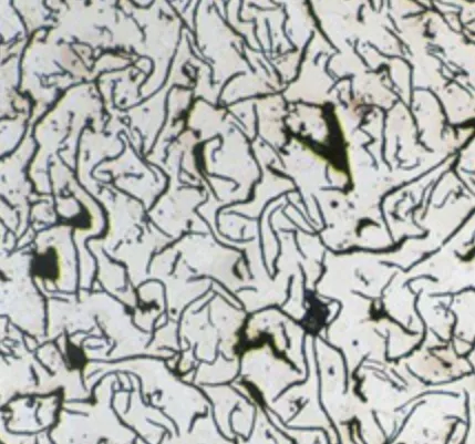 Fonte grise au microscope